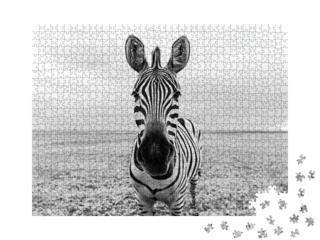 Puzzle 1000 Teile „Auge in Auge mit einem Zebra “