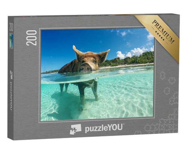 Puzzle 200 Teile „Wasserbegeistertes Wildschwein auf den Bahamas, Karibik“