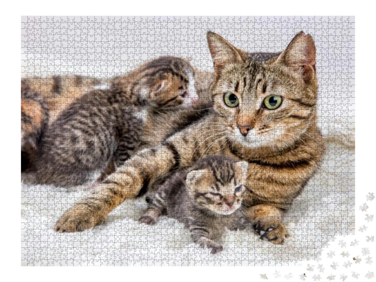 Puzzle 2000 Teile „Katzenmutter und Katzenbaby, Kitten“