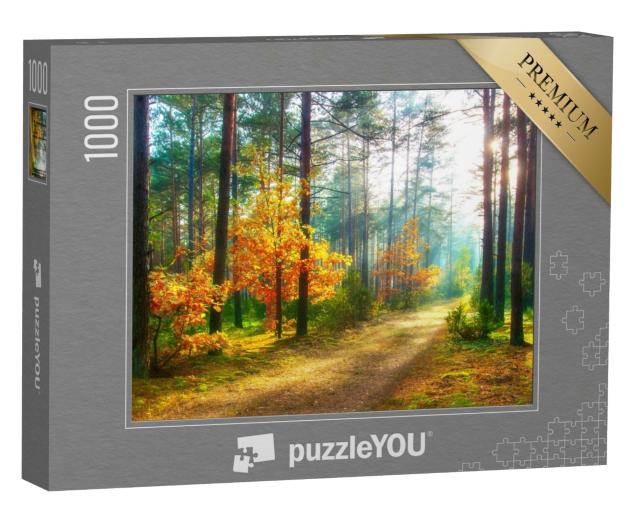 Puzzle 1000 Teile „Waldlandschaft im Herbst“