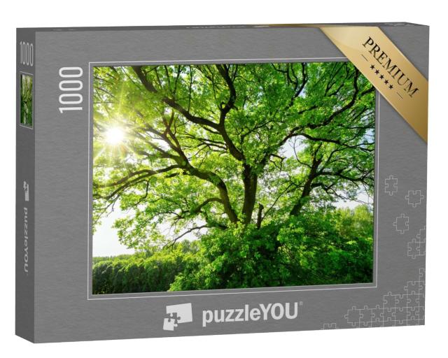 Puzzle 1000 Teile „Majestätischer alter Baum im Sonnenlicht“