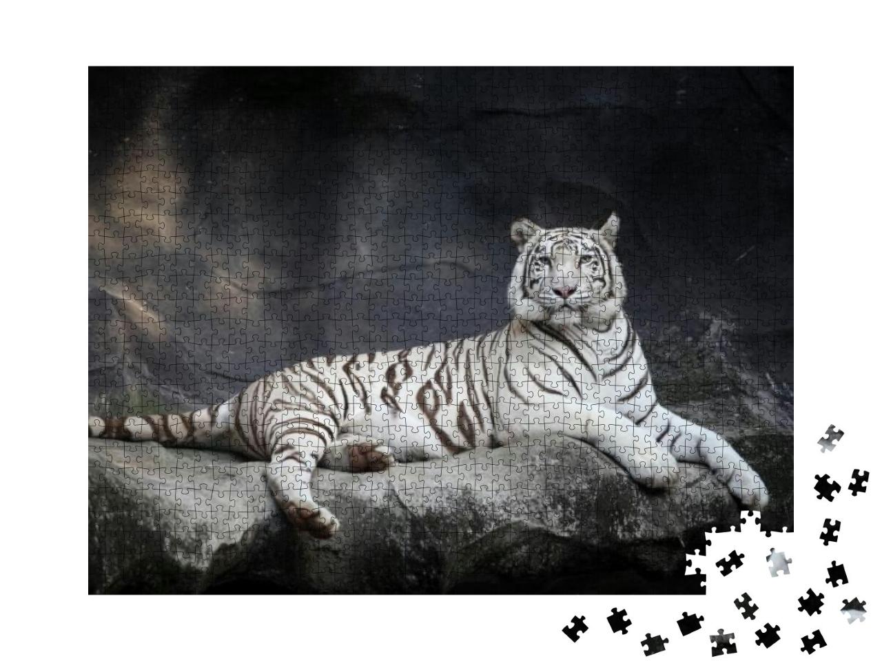 Puzzle 1000 Teile „Weißer Tiger “