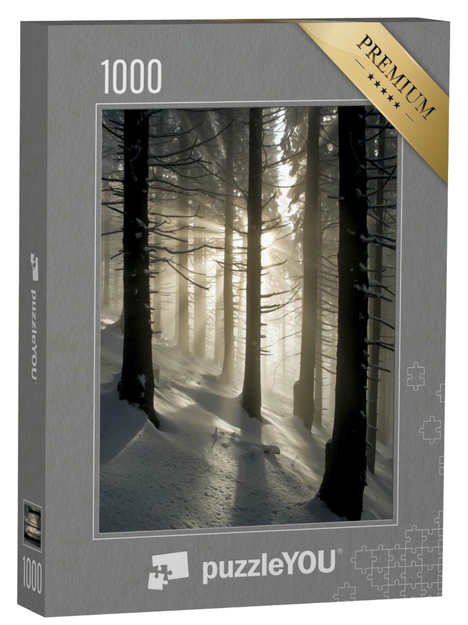 Puzzle 1000 Teile „Sonnenstrahlen im Winterwald“
