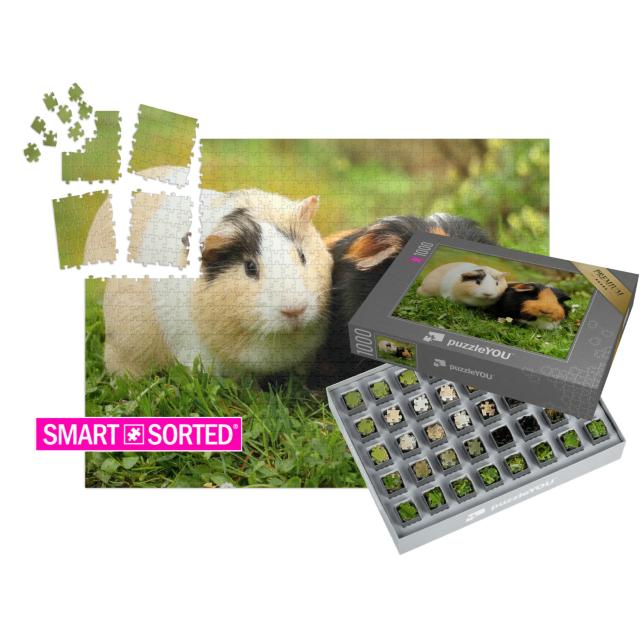 SMART SORTED® | Puzzle 1000 Teile „Zwei süße Meerschweinchen“