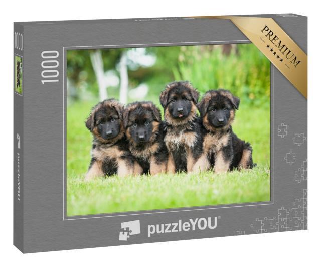 Puzzle 1000 Teile „Vier kleinen deutsche Schäferhundwelpen“