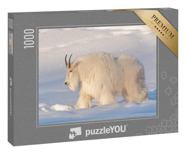 Puzzle 1000 Teile „Eine Bergziege im Norden Kanadas “