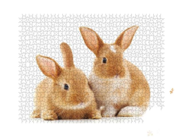 Puzzle 1000 Teile „Zwei kleine hellbraune Kaninchen“