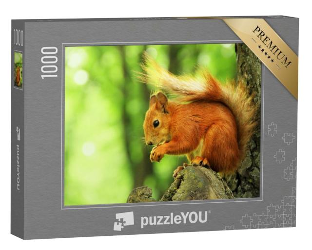 Puzzle 1000 Teile „Schönes rotes Eichhörnchen im Park“