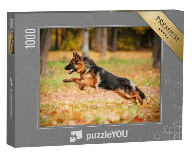 Puzzle 1000 Teile „Deutscher Schäferhund beim Spielen im Herbst“