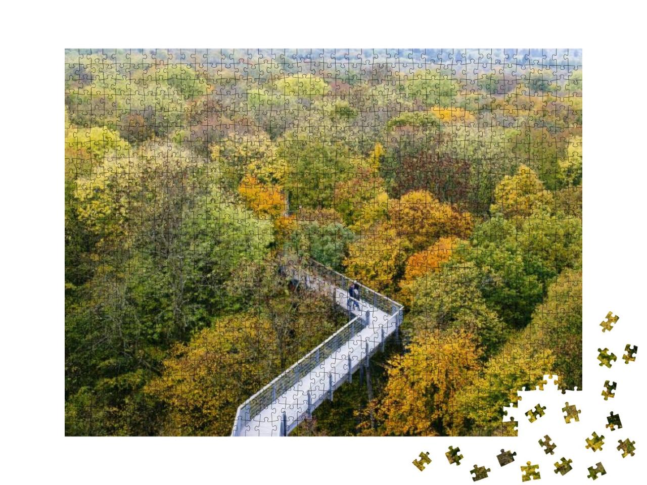 Puzzle 1000 Teile „Baumkronenpfad im Nationalpark Hainich, Thüringen“