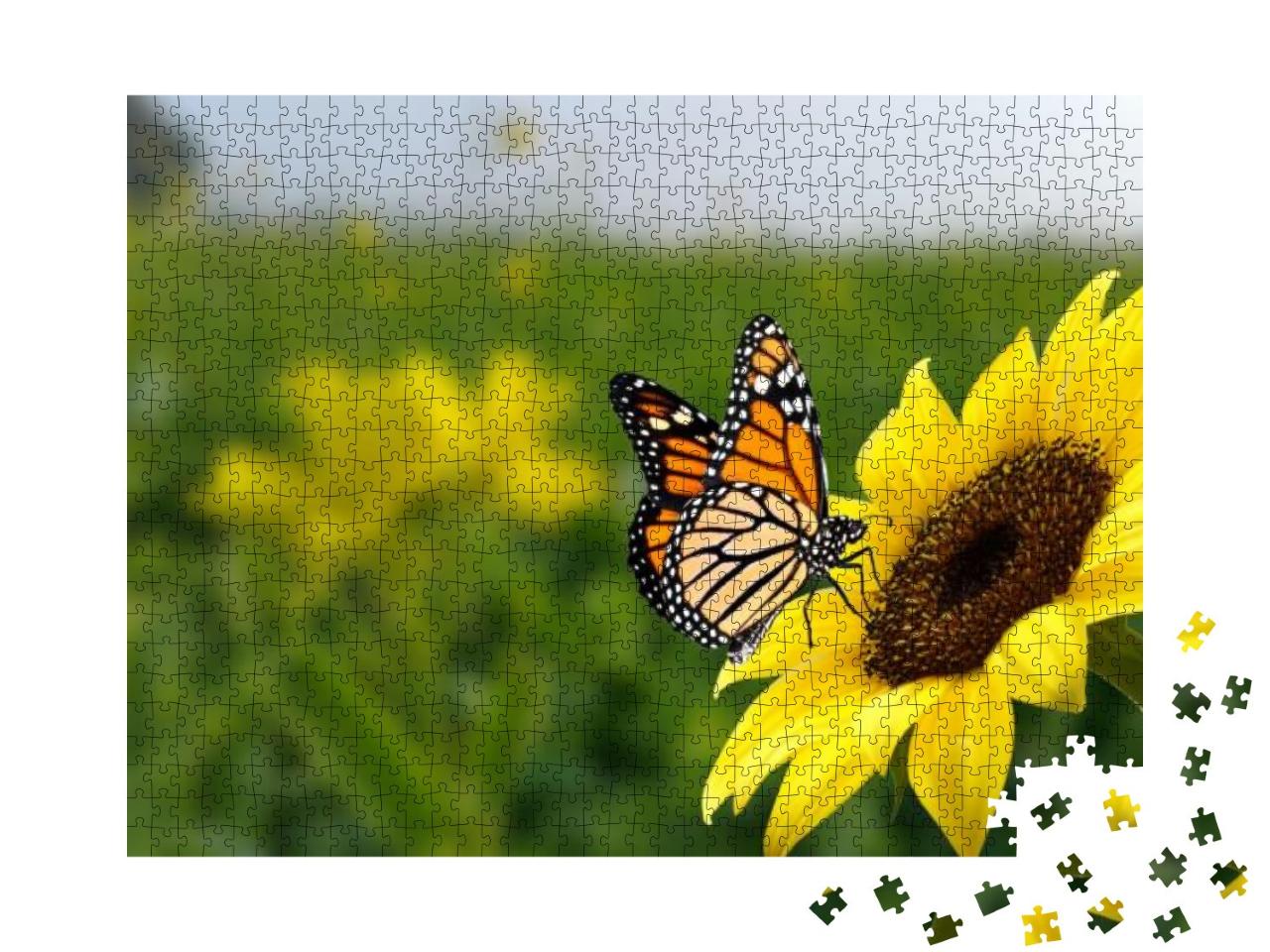 Puzzle 1000 Teile „Monarchfalter auf einer Sonnenblume“