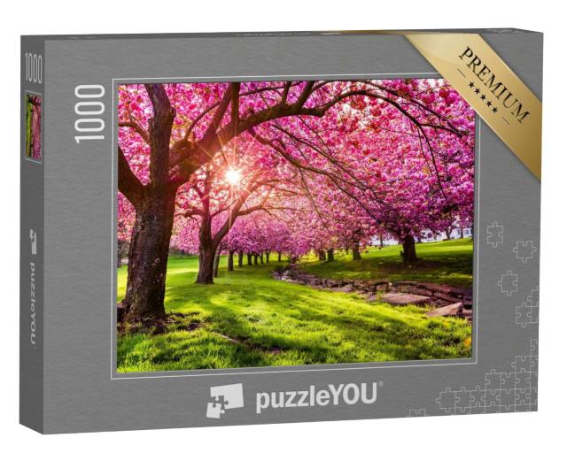 Puzzle 1000 Teile „Kirschblüten im Hurd Park, Dover, New Jersey“