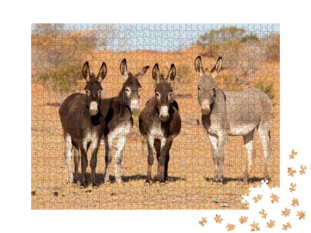 Puzzle 1000 Teile „Esel im australischen Outback“