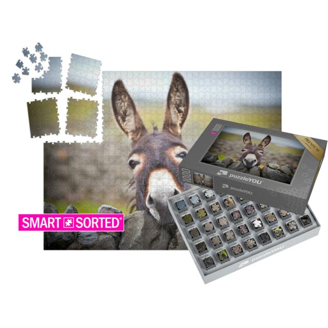 SMART SORTED® | Puzzle 1000 Teile „Ein neugieriger Esel“