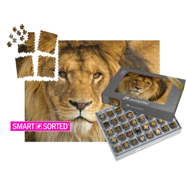 SMART SORTED® | Puzzle 1000 Teile „Portrait eines männlichen Löwen“