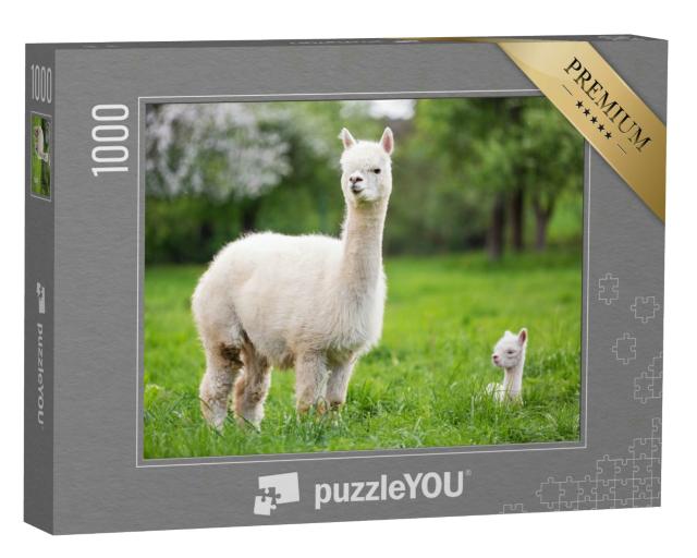 Puzzle 1000 Teile „Ein weißes Alpaka mit Jungtieren“