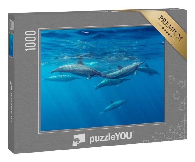 Puzzle 1000 Teile „Spinnerdelfine, Mauritius, Indischer Ozean“