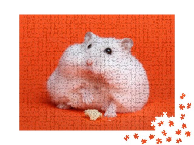 Puzzle 1000 Teile „Fluffiger weißer Hamster “