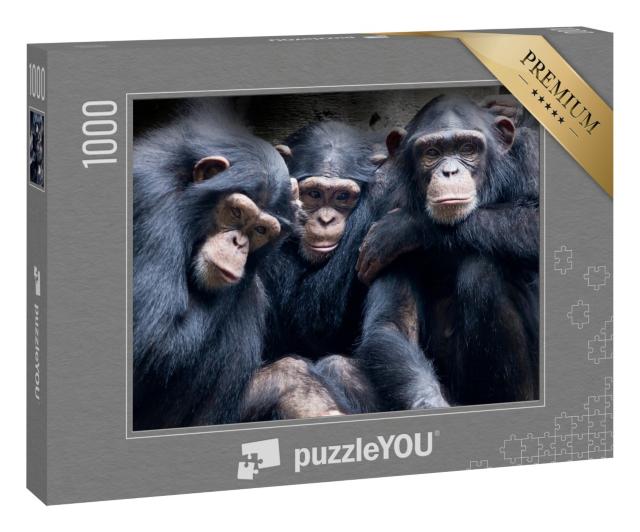 Puzzle 1000 Teile „Bonobos und Schimpansen in Afrika“