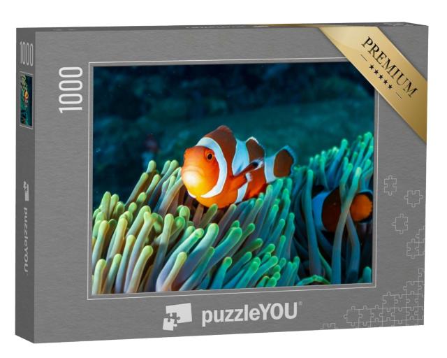 Puzzle 1000 Teile „Bunter Clownfisch in einer Anemone im Korallenriff“