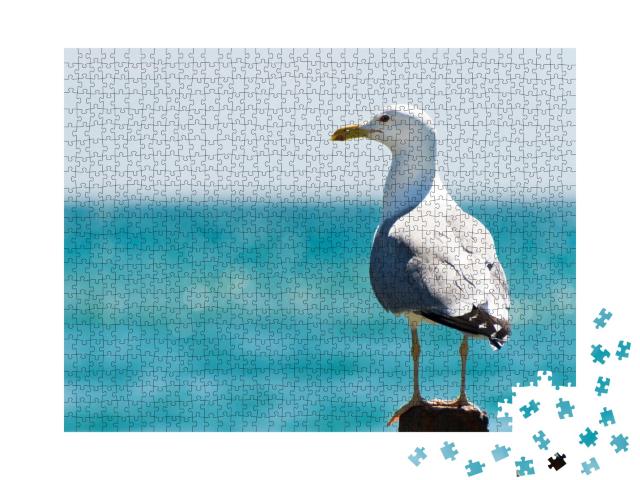 Puzzle 1000 Teile „Möwe mit aufmerksamem Blick über das Meer“