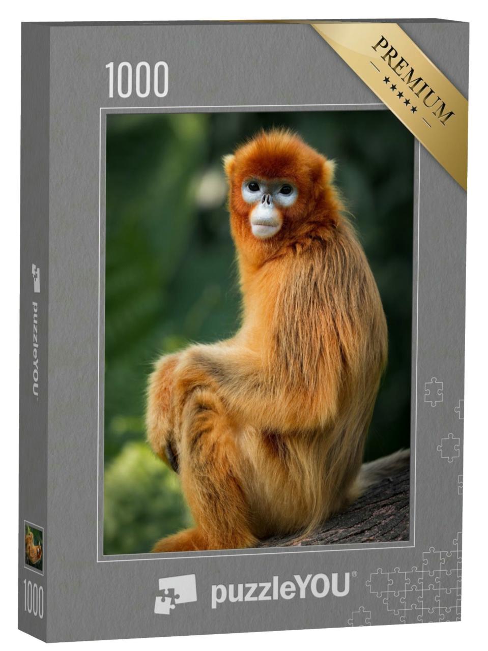 Puzzle 1000 Teile „Das Porträt des stupsnasigen Affen“