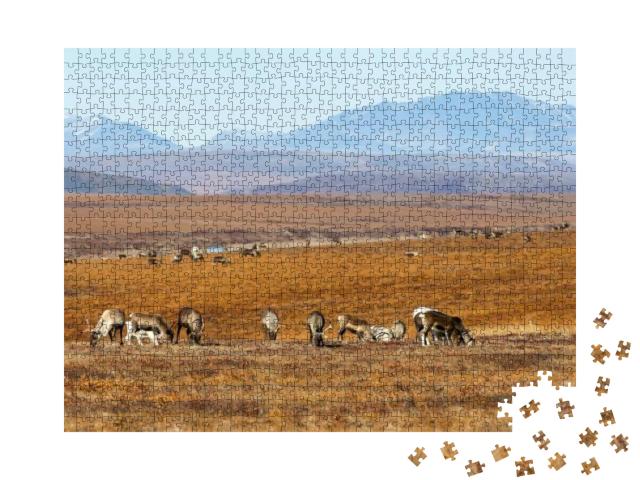 Puzzle 1000 Teile „Rentierherde inmitten der arktischen Winterlandschaft, Tschukotka, Sibirien“