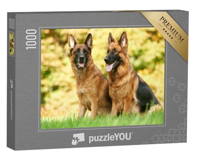 Puzzle 1000 Teile „Zwei Deutsche Schäferhunde sitzen im Gras “