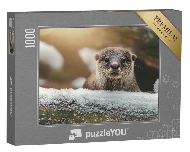 Puzzle 1000 Teile „Portrait-Studie eines Otters“