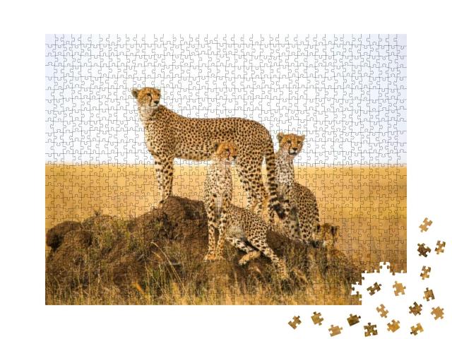 Puzzle 1000 Teile „Geparden im Serengeti-Nationalpark, Tansania“