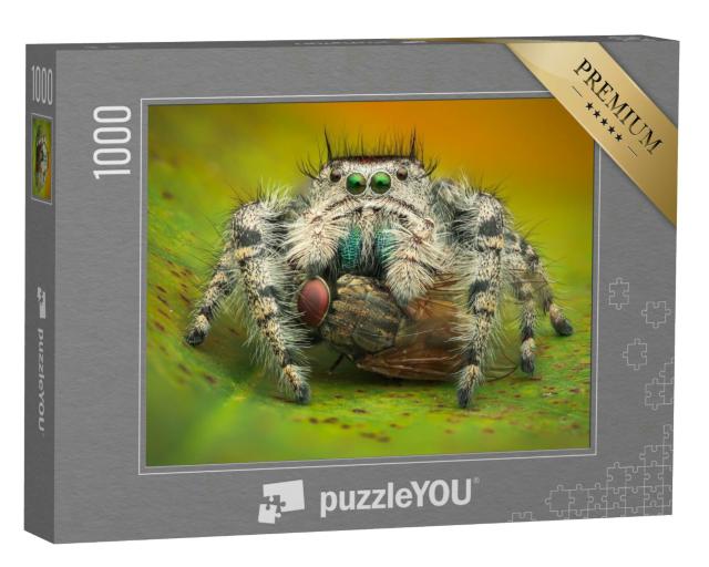Puzzle 1000 Teile „Makrofotografie: Springspinne frisst eine Stubenfliege“