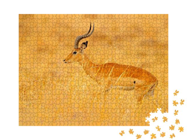 Puzzle 1000 Teile „Antilope inmitten der Gras-Savanne, Südafrika“