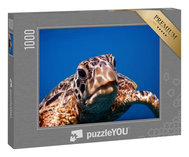 Puzzle 1000 Teile „Eine grüne Meeresschildkröte auf Savaii“