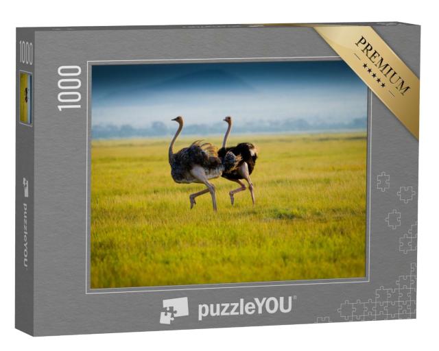 Puzzle 1000 Teile „Zwei afrikanische Strauße  im Gras“
