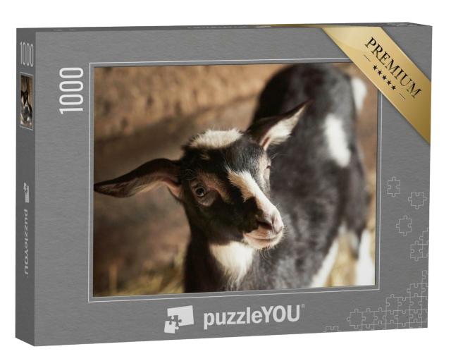 Puzzle 1000 Teile „Schwarzweiße Ziege im Stall “