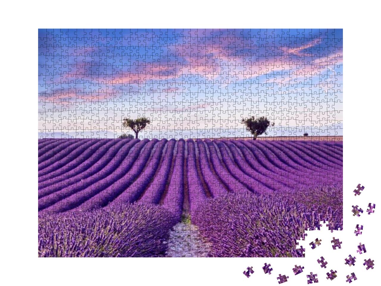 Puzzle 1000 Teile „Lavendelfeld im Sommer, Frankreich, Provence“