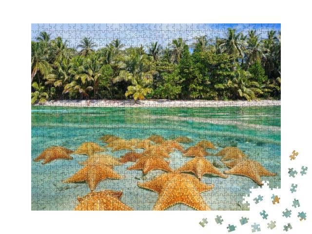 Puzzle 1000 Teile „Eine Gruppe Seesterne am karibischen Strand“