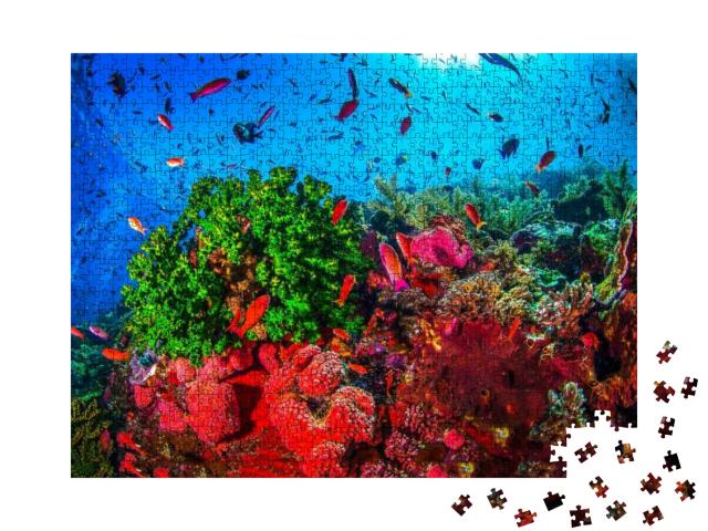 Puzzle 1000 Teile „Unterwasser-Korallenlandschaft“