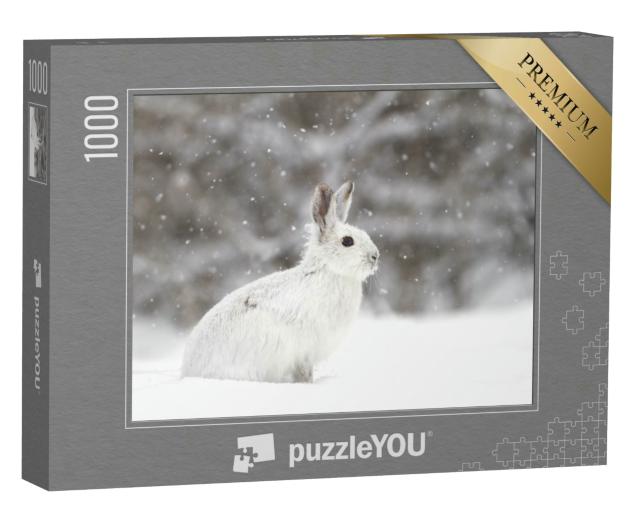 Puzzle 1000 Teile „Weißer Schneehase im Schneegestöber, Kanada“