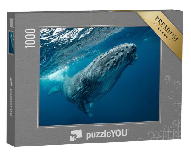 Puzzle 1000 Teile „Ein schwimmender Buckelwal im Meer“