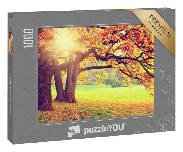 Puzzle 1000 Teile „Herbstlandschaft mit alten Bäumen“