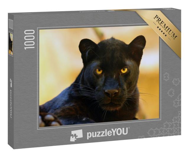 Puzzle 1000 Teile „Auge in Auge mit einem schwarzen Panther“