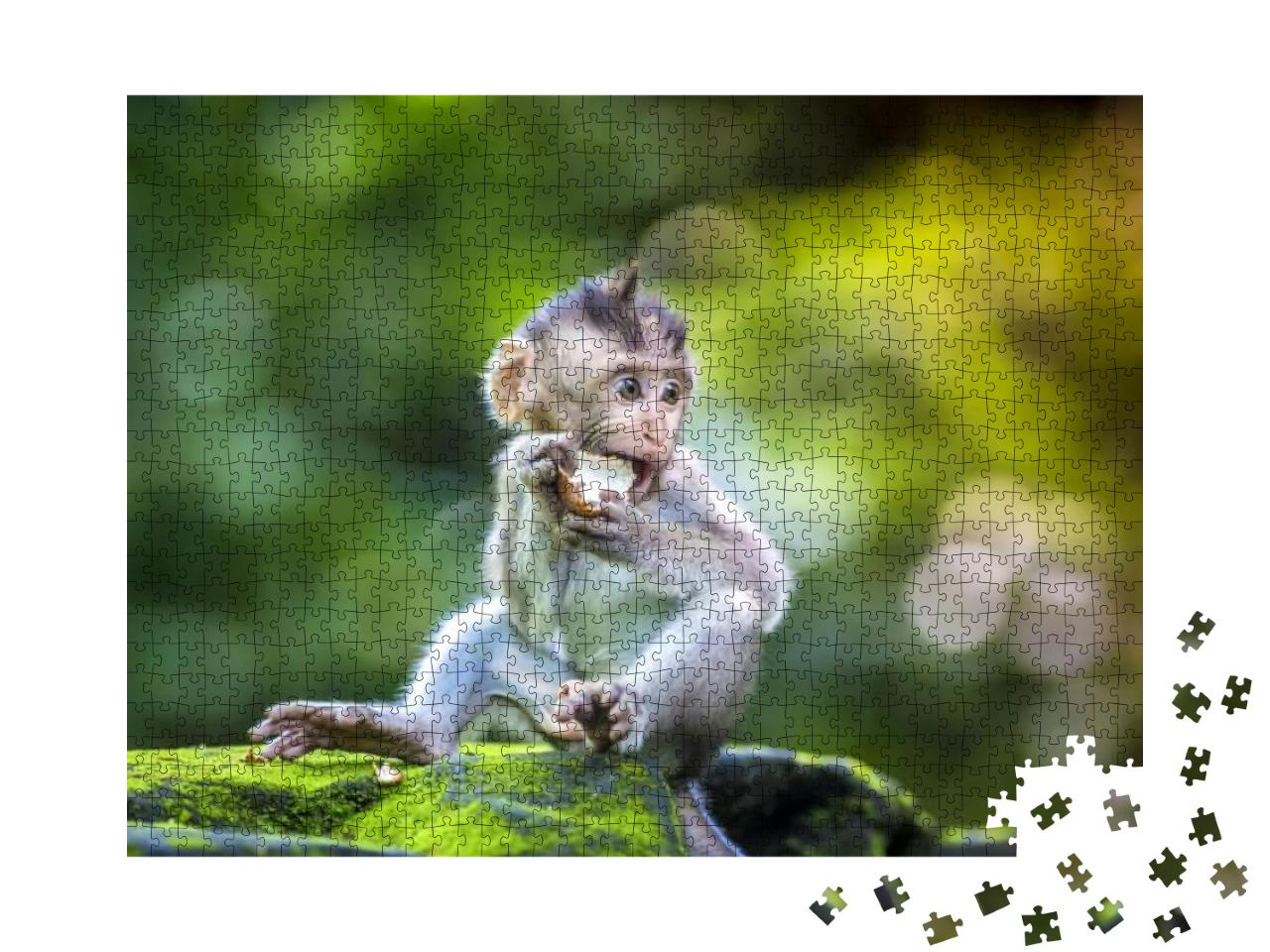 Puzzle 1000 Teile „Kleiner Baby-Affe im Affenwald von Ubud, Bali, Indonesien“