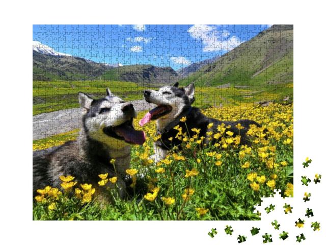 Puzzle 1000 Teile „Zwei sibirische Huskys in den Bergen des Kaukasus“
