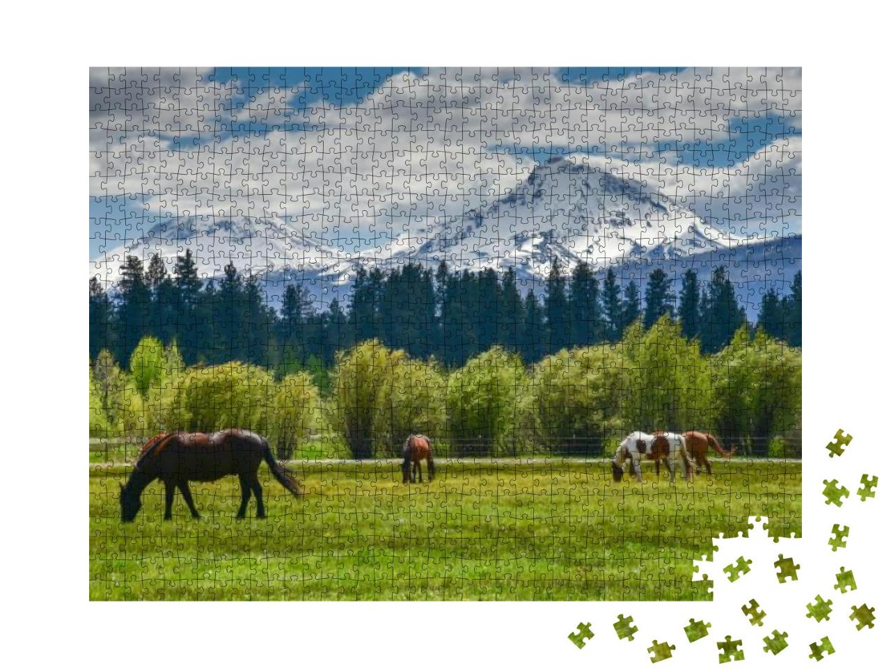Puzzle 1000 Teile „Pferde an der Cascade Mountain Range, Oregon, USA“