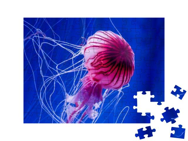 Puzzle 100 Teile „Rosa Qualle vor einem blauen Meereshintergrund“