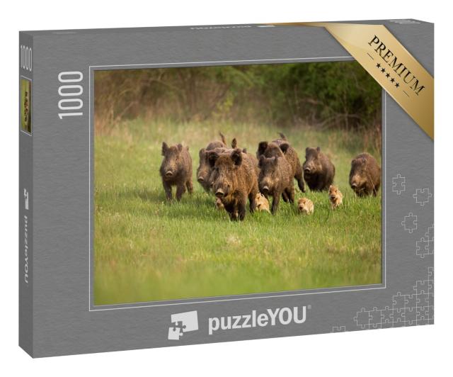 Puzzle 1000 Teile „Gruppe von Wildschweinen im Frühling“