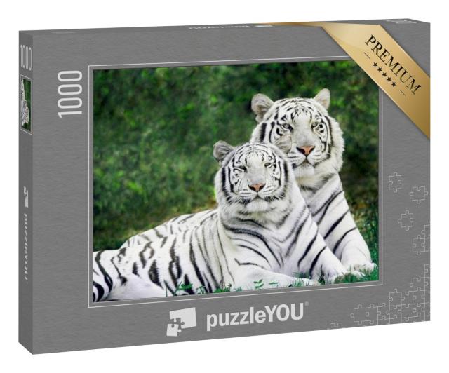 Puzzle 1000 Teile „Zwei wunderschöne weiße Tiger“