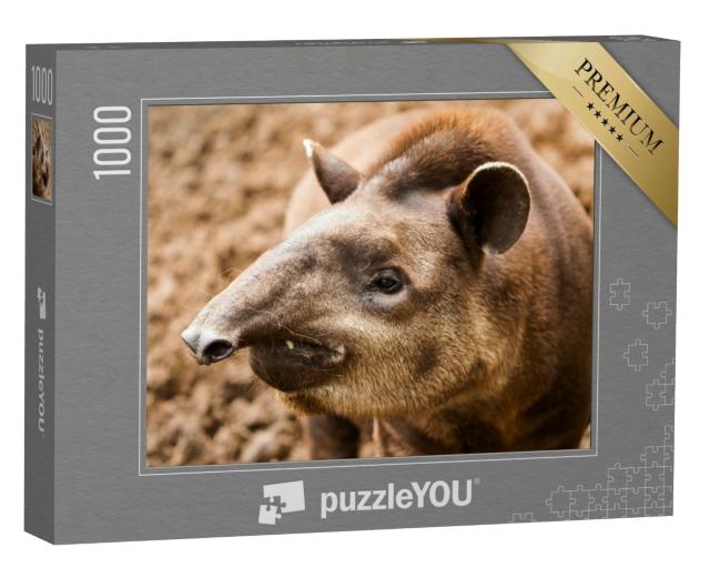 Puzzle 1000 Teile „Nahaufnahme eines Tapirs in Ecuador“