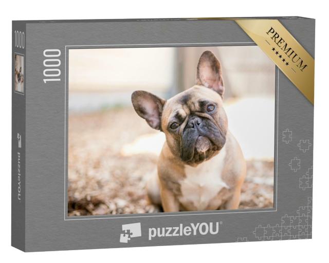 Puzzle 1000 Teile „Eine süße rehbraune Französische Bulldogge“